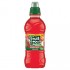 Fruit Shoot Summer Fruit 24 x 200ml