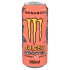 Monster Monarch 12x 500ml