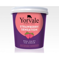 Yorvale Stawberry 24x120ml