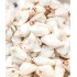 Crab White Meat 500gr Block Frozen