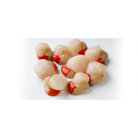 Queen Scallop 500gr Block Frozen