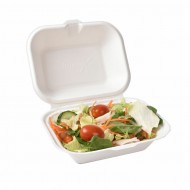 Medium White Bagasse Food (HP9) Box HBB50 1X50