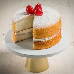 MACPHIE SPONGE MIX 10kg   44403