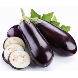 Aubergines Loose BOX