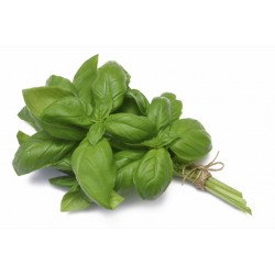 Prepacked Fresh Basil 100GR