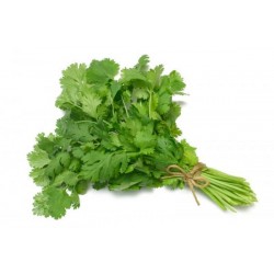 Bunch of Fresh Coriander Leaves 185g