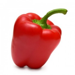 RED PEPPER 1 PCS