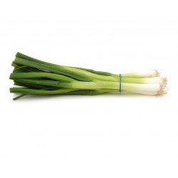 Bunch of Spring Onions