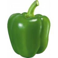 GREEN PEPPER 1 PCS