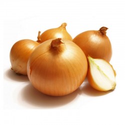 Dutch Large Onion 1x20kg